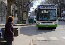 El municipio compró los cuatro micros para el transporte comunal