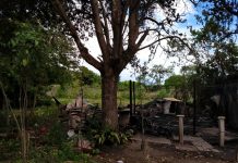 Incendio de precaria vivienda dejó daños totales