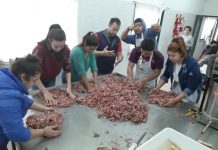 El CEPT N° 4 en la Fiesta del Salame