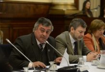 Selva acusó al gobierno nacional de cínico e irresponsable