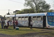 La atracción del Tren Turístico