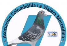 Campeonato Social de La Viajera Mercedina: Osvaldo Dagnino y Miguel Moleres campeones