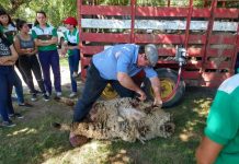 Actividad del CEPT 4 y agradecimiento