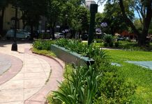 Plaza San Martín: alerta por daños en plantas y bancos