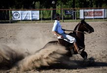 Otra exitosa edición de la Expo Criollos Mercedes