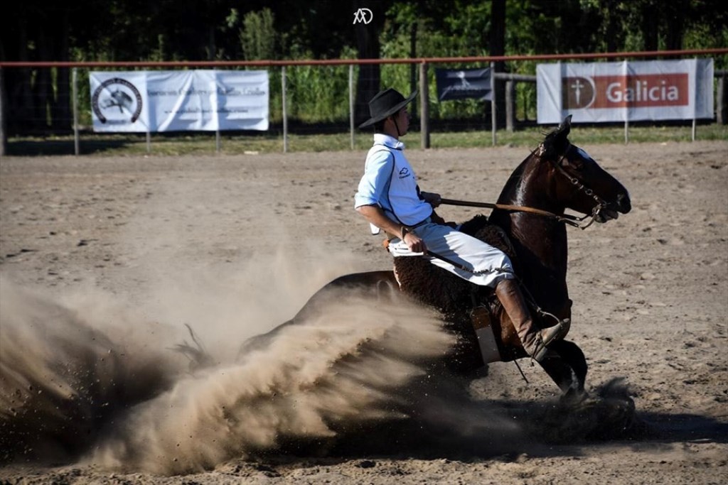 caballos criollos 1