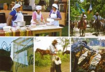 24º edición de la Fiesta Nacional del Pastel en Gouin