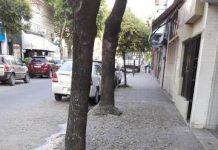 Comerciantes y vecinos reclaman por la problemática de las aves
