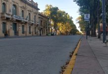Mercedes paralizada previniendo avance del coronavirus