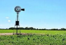 Postergan vencimiento del Inmobiliario Rural