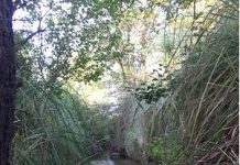S.O.S HABITAT