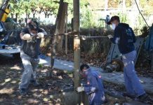 Vecinos padecen falta de presión en el servicio de agua potable