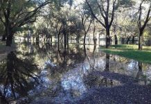 El Río Luján estuvo al límite del desborde tras intensas lluvias