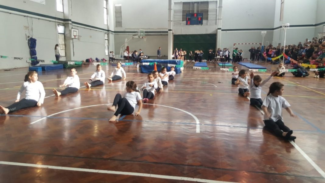 GIM 2