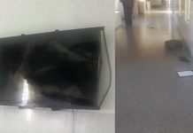 Destrozos y robo en la Escuela Media