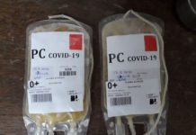 COVID: Pacientes mejoraron gracias a plasma de personas que se recuperaron