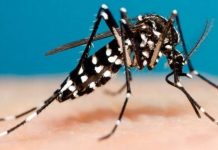 Dengue en Mercedes: vecina contrajo la enfermedad y ya se recuperó