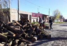 El acumulado de la poda se transforma en calefacción para diferentes familias