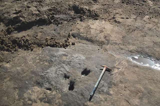 yacimiento prehistorico
