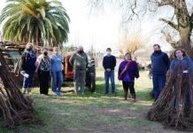 Entregan plantas de durazno para seguir recuperando la especie
