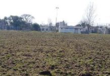 Vélez Sarsfield invierte en la mejora de su campo de juego