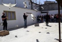 Actividades en la Unidad con motivo del Día Internacional de la Paz