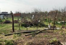Una persona quiso usurpar dos terrenos diferentes en pocas horas
