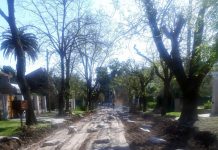 Municipio inicia una nueva obra de asfaltado: esta vez le llegó a la calle 60