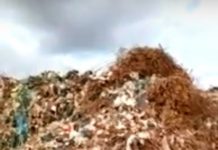 S.O.S. Hábitat con preocupación sobre situación del basural