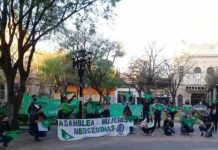 ILE: Pañuelazo en Plaza San Martín