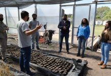 Concejales visitaron el Vivero Biotecnológico Municipal