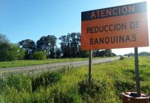 La Ruta Nacional 5 en lista de espera
