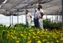 El intendente fue ahora quien recorrió el Vivero Biotecnológico