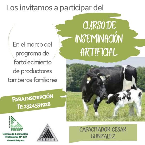 insemina