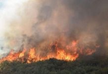 Intensa labor de bomberos durante el fin de semana