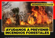 Bomberos piden conciencia para prevenir incendios forestales