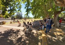 Cultura, artistas y bares en reunión para puesta en común y articulación de cuidados