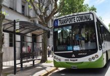 Regresa la Línea 1 del transporte urbano de pasajeros