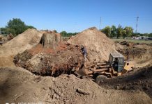 Preocupación de vecinos por tala de árboles suma a organizaciones ambientalistas