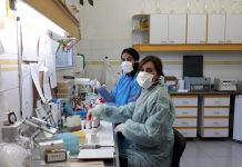 La concreción del Laboratorio de Virología Molecular fue uno de los grandes pasos