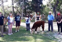 Patronato invitó a Jueces a recorrida
