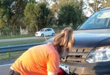 Accidente en ruta 5 con heridos leves