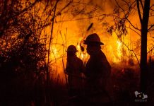 Incendio de dimensiones