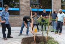 Mercedes elegida por ANSeS para Plantar Memoria