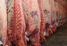El Gobierno le puso fin a la media res de carne vacuna