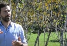 Lapolla alienta al fomento de producciones alternativas