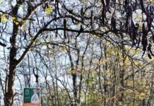 Mendía: “El Balta va a ser una reserva para siempre”