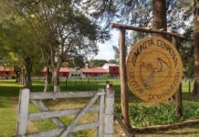 La Arquidiócesis donará tierras del ex Cotolengo para viviendas y el Club San Martín