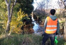 Realizan tareas de limpieza en el Arroyo Leguizamón