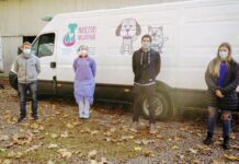 Zoonosis: Activan jornadas de castración y chipeo de perros “comunitarios”